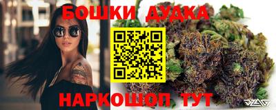 индика Краснознаменск