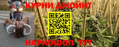 прущие грибы Краснокаменск